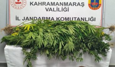 1 kişi tutuklandı.