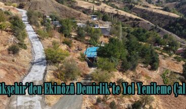 Büyükşehir’den Ekinözü Demirlik’te Yol Yenileme Çalışması.