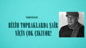 BİZİM TOPRAKLARDA ŞAİR NİÇİN ÇOK ÇIKIYOR?