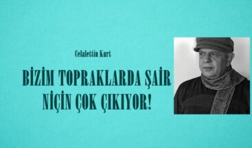 BİZİM TOPRAKLARDA ŞAİR NİÇİN ÇOK ÇIKIYOR?
