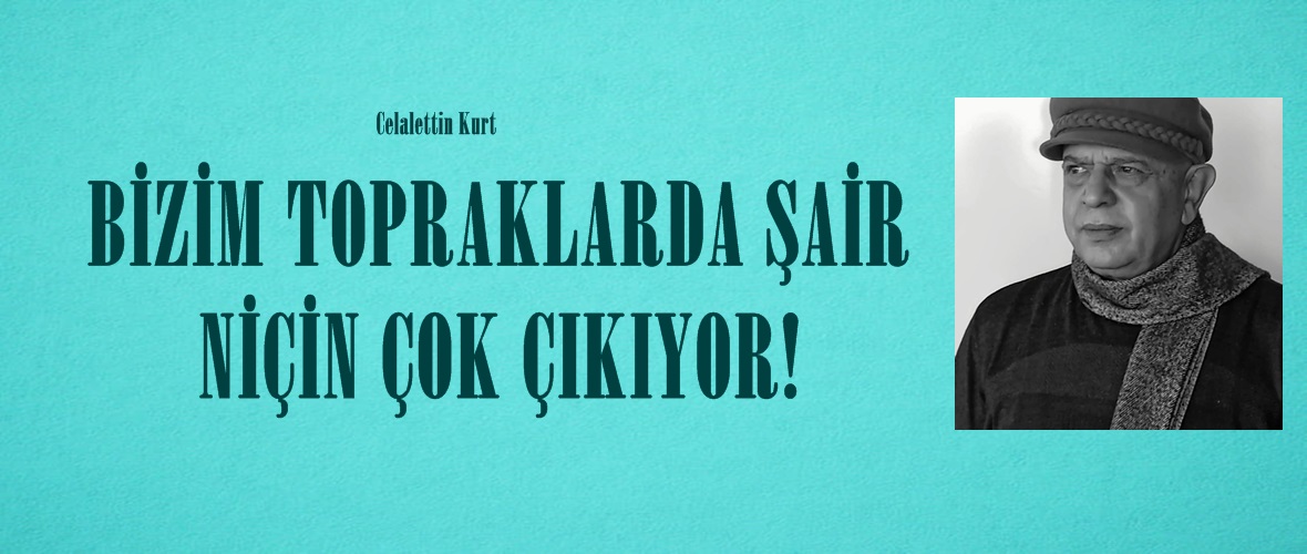 BİZİM TOPRAKLARDA ŞAİR NİÇİN ÇOK ÇIKIYOR?