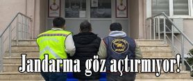 Jandarma göz açtırmıyor!