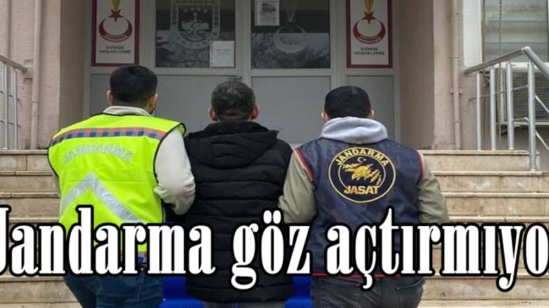 Jandarma göz açtırmıyor!
