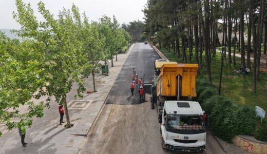 Büyükşehir, Hacı Bayram Veli Mahallesi’nde 31015. Sokak’ı Sıcak Asfaltla Buluşturuyor.