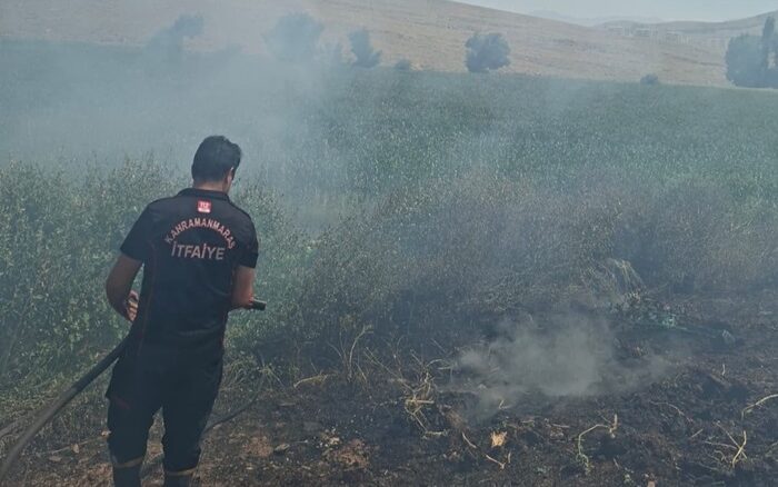 Büyükşehir İtfaiyesi Temmuz’da 2 Bin 554 Olaya Müdahale Etti.